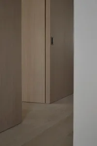 Modern minimalist doors constructed of wood and metals.