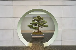 A bonsai tree in a concrete vase on a pebble-covered floor, framed by a circular archway in a modern space.