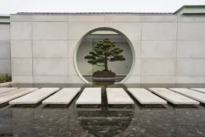 A minimalist landscape featuring a concrete planter with a gnarled bonsai tree.