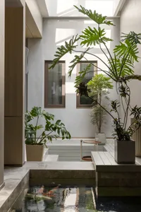 A modern interior space featuring natural materials and lush green plants.