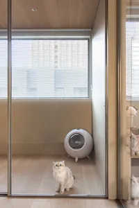 A white cat sitting in front of a minimalistic, white ceramic cat door with a glass observation window, viewed through a glas