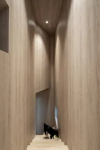 Minimalist wooden staircase interior, dog on stairs
