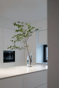 Modern minimalistic kitchen design with a glass vase containing green leaves.