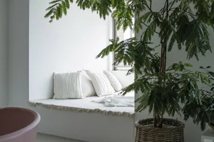 A cozy window seat with white cotton blankets and a small green potted plant nearby.