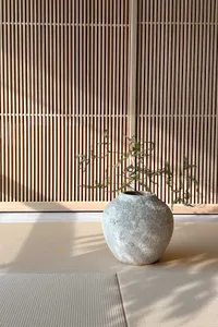 A minimalist-style floor plan featuring natural materials and a serene ambiance.