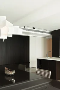 A modern kitchen featuring black wooden cabinets and a sleek, contemporary design.