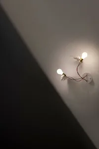 Two minimalist wall-mounted light bulbs with white feathers attached to them, casting light on a white wall with a shadow.