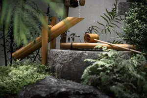 A minimalist landscape featuring bamboo, stone, and greenery.