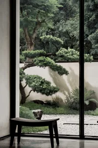 A serene indoor garden featuring a minimalist bonsai tree and gravel pathway.