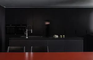 Contemporary kitchen with black cabinets and countertops.