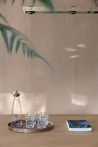 A minimalist coffee table setting featuring a wooden tray with a clear glass carafe, several short glasses, and a book on a w