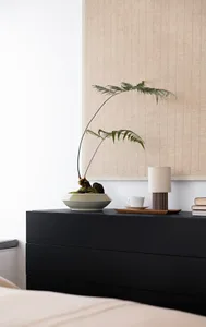 Minimalist bedroom featuring a black sideboard with a plant, a cup, and a lamp.