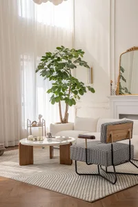 A modern living room featuring a marble coffee table, plush cushions, and a potted plant.