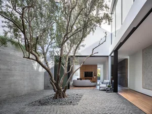 A modern residential interior with a concrete floor and glass walls.