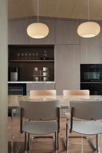 A modern residential kitchen featuring wooden paneling and a marble counter.