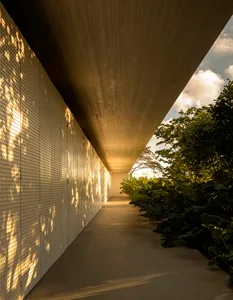 A modern concrete walkway lined with lush greenery and featuring a shadowed wall.