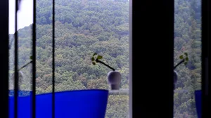 A blue vase with green plants sits on a windowsill, with a window showing a lush green forest beyond the blinds.