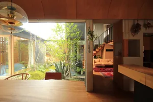 View of a minimalist residential interior featuring wood, glass, and plants.