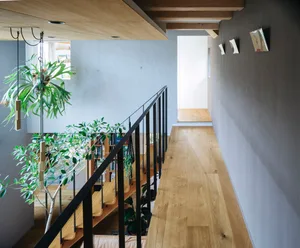 Modern interior with wooden staircase, open shelving, and hanging plants.