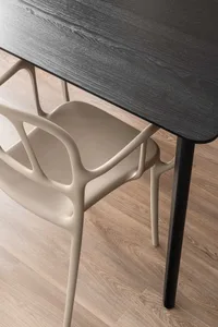 A modern dining room with a black wooden table and a beige, ergonomic chair.