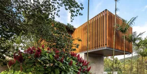 A modern house exterior featuring a wooden slat wall design with lush greenery surrounding it.