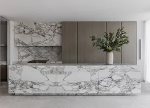 Modern kitchen with marble countertops and cabinets, featuring a vase with green foliage on the countertop.