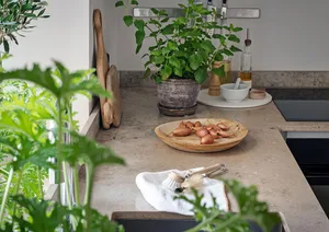 Photograph of a modern kitchen featuring marble countertops with plants, bowls, and cooking utensils.