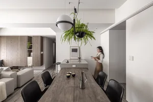 A modern minimalist living room with wooden furniture and a hanging plant.
