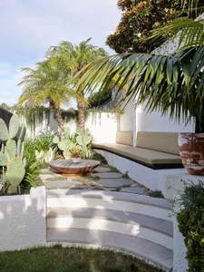 Modern outdoor living space featuring concrete steps, a seating area, and various plants including palm trees and cacti.