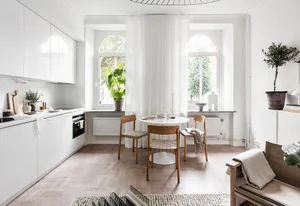 Modern minimalist apartment kitchen and living room with white cabinets, wooden flooring, and potted plants.