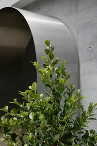 Modern interior space featuring a textured concrete wall and green foliage.