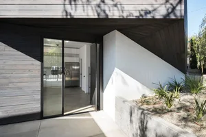 Modern exterior residential entrance with a glass door and wood-coated wall.