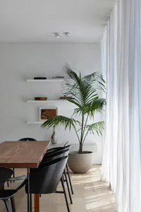 Modern dining room featuring a wooden table, potted palm plant, and cement floor.
