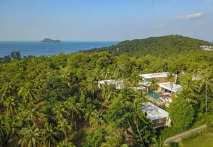 Aerial view of a modern villa with a glass facade, surrounded by palm trees and overlooking the ocean.