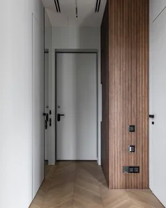 A modern minimalist entryway with wooden panels, flooring, and minimalistic design elements.