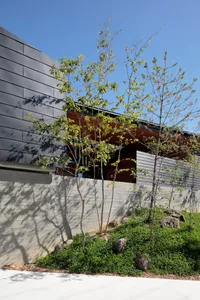 A modern building with metallic cladding and greenery.