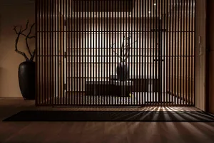 Modern residential entrance with a wooden grid door and potted plant.