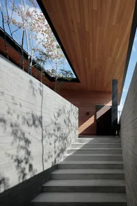 Modern staircase with concrete steps and wooden walls and ceiling