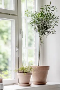 A modern interior scene featuring clay pots with plants on a windowsill.