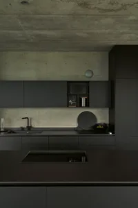 Contemporary kitchen with metallic finishes and black cabinets.