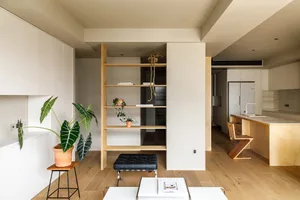 Modern, minimalist apartment interior featuring white walls, wooden shelves, and potted plants.