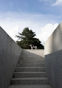 A minimalist concrete staircase with a dog standing on a ledge in the background.