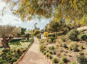A pathway winding through a garden, bordered by various plants and trees.
