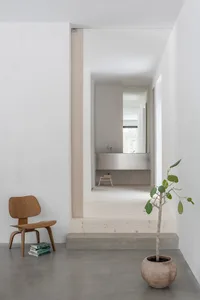 A modern architectural space with a concrete entrance, minimalistic design, and a small potted plant.