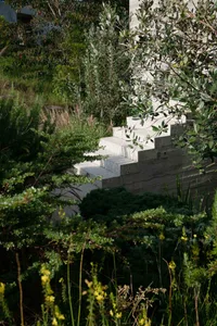 Modern stone staircase surrounded by lush greenery in a garden setting.