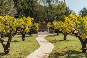 A garden pathway lined with trees and leading to a wooden bench surrounded by greenery.