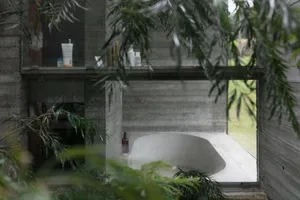 A minimalist bathroom with a concrete bathtub and a green plant in the foreground.