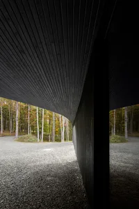 A modern interior designed with black wooden walls and ceiling, showcasing a minimalist aesthetic.