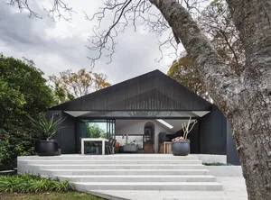 A modern residential exterior with black corrugated metal siding, large glass windows, and a large tree in the foreground.