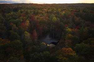 A modern house nestled in a dense forest during sunset.